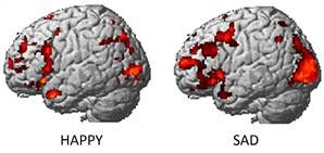 Happy and Sad brains or just scientists making mistakes again
