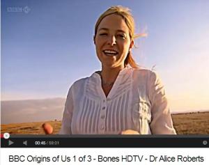 Origins of Us - hominans on the African savannah - getting better all the time
